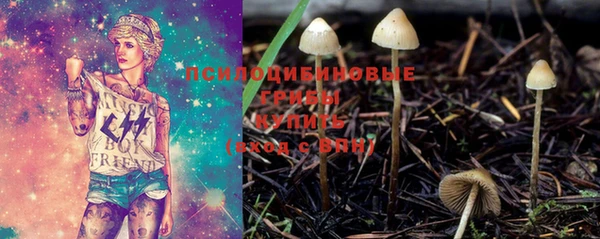 гидропоника Балахна