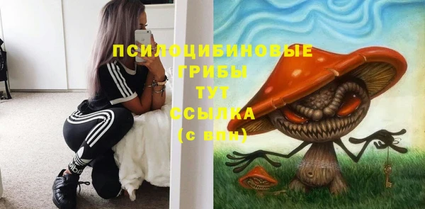 2c-b Балабаново